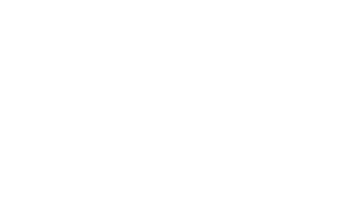 Stop For Life Sandwell Official Logo in Website Header